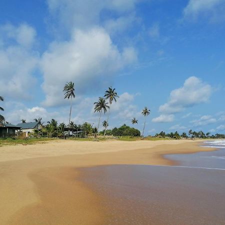 Afro Beach Eco Resort Butre ภายนอก รูปภาพ