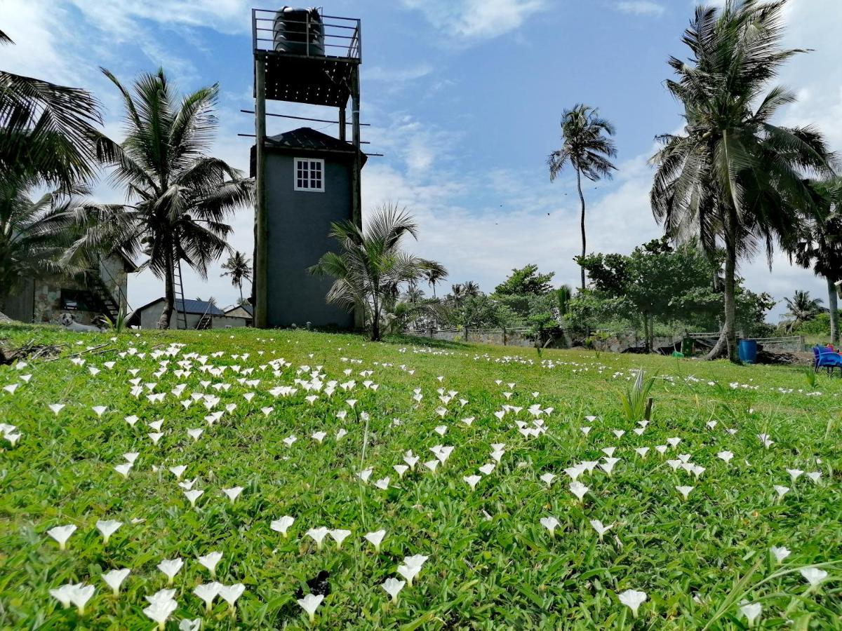 Afro Beach Eco Resort Butre ภายนอก รูปภาพ