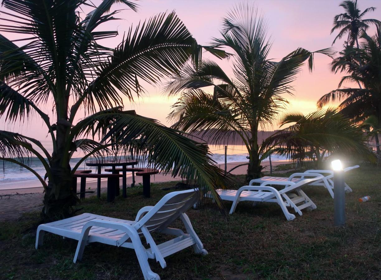 Afro Beach Eco Resort Butre ภายนอก รูปภาพ