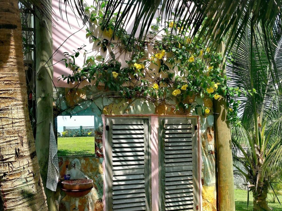 Afro Beach Eco Resort Butre ภายนอก รูปภาพ