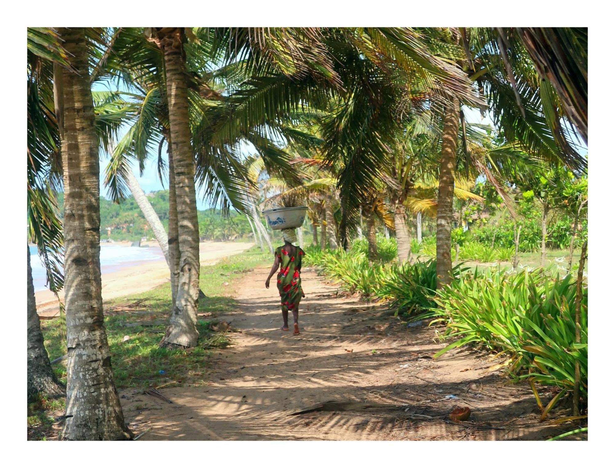 Afro Beach Eco Resort Butre ภายนอก รูปภาพ