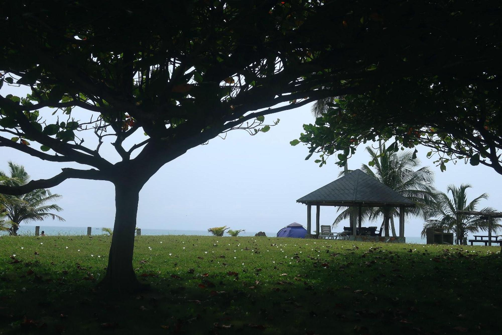 Afro Beach Eco Resort Butre ห้อง รูปภาพ