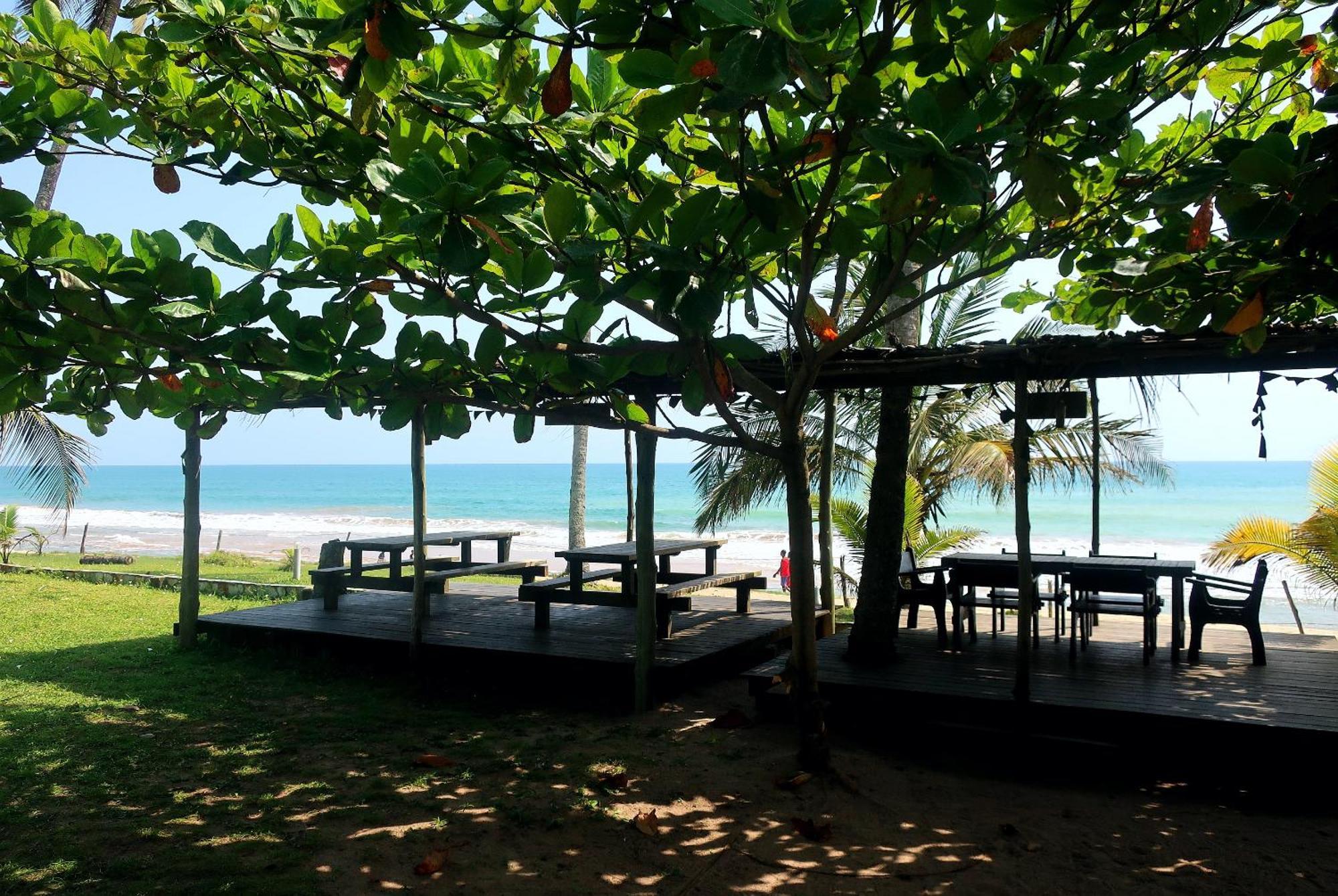 Afro Beach Eco Resort Butre ภายนอก รูปภาพ