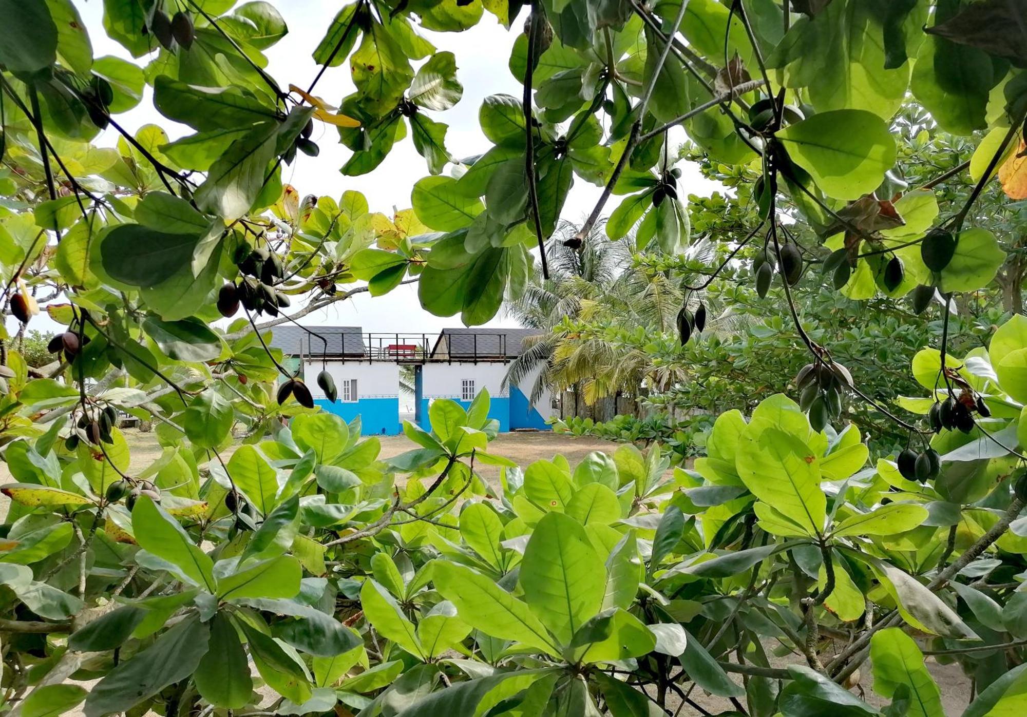 Afro Beach Eco Resort Butre ห้อง รูปภาพ