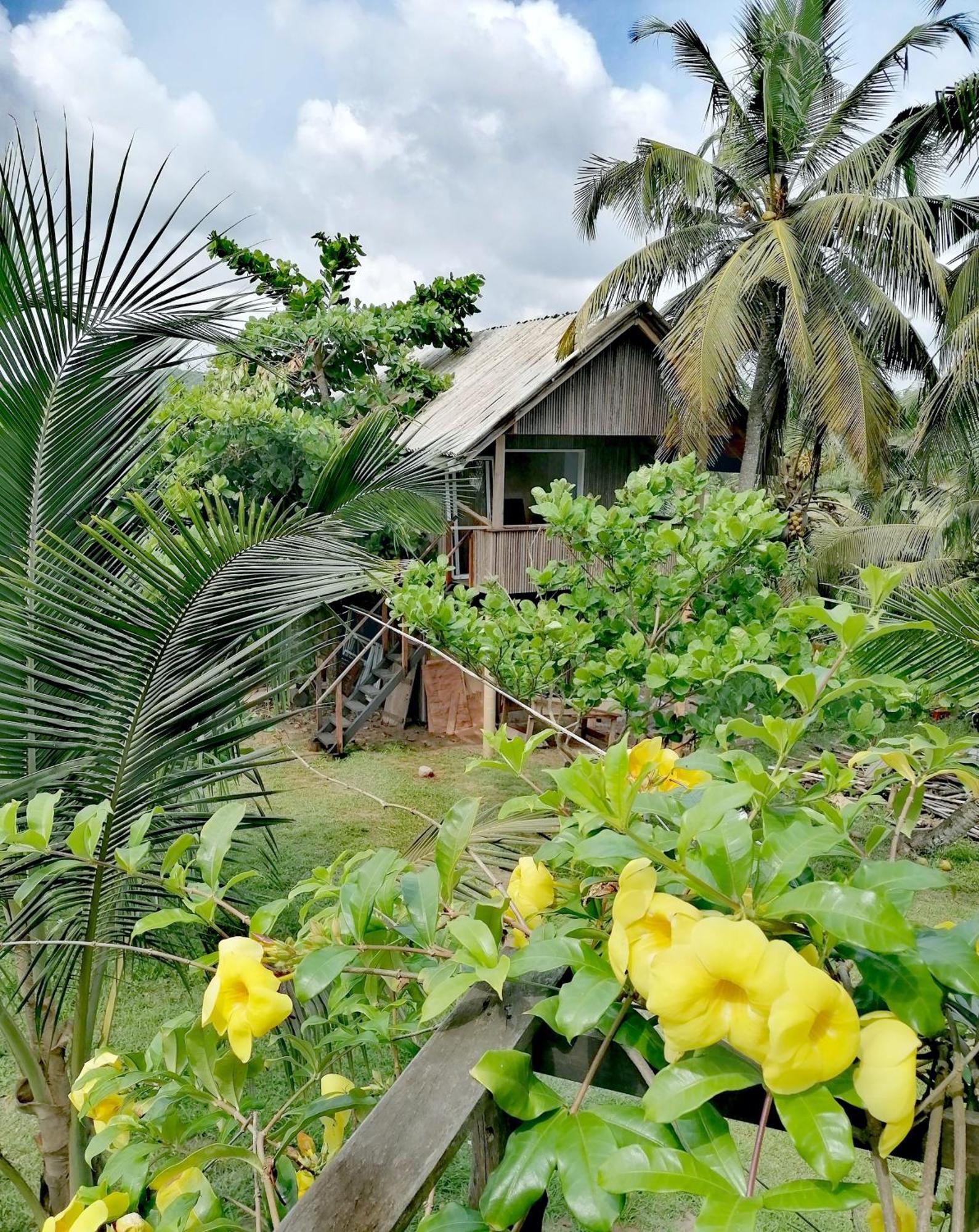 Afro Beach Eco Resort Butre ห้อง รูปภาพ