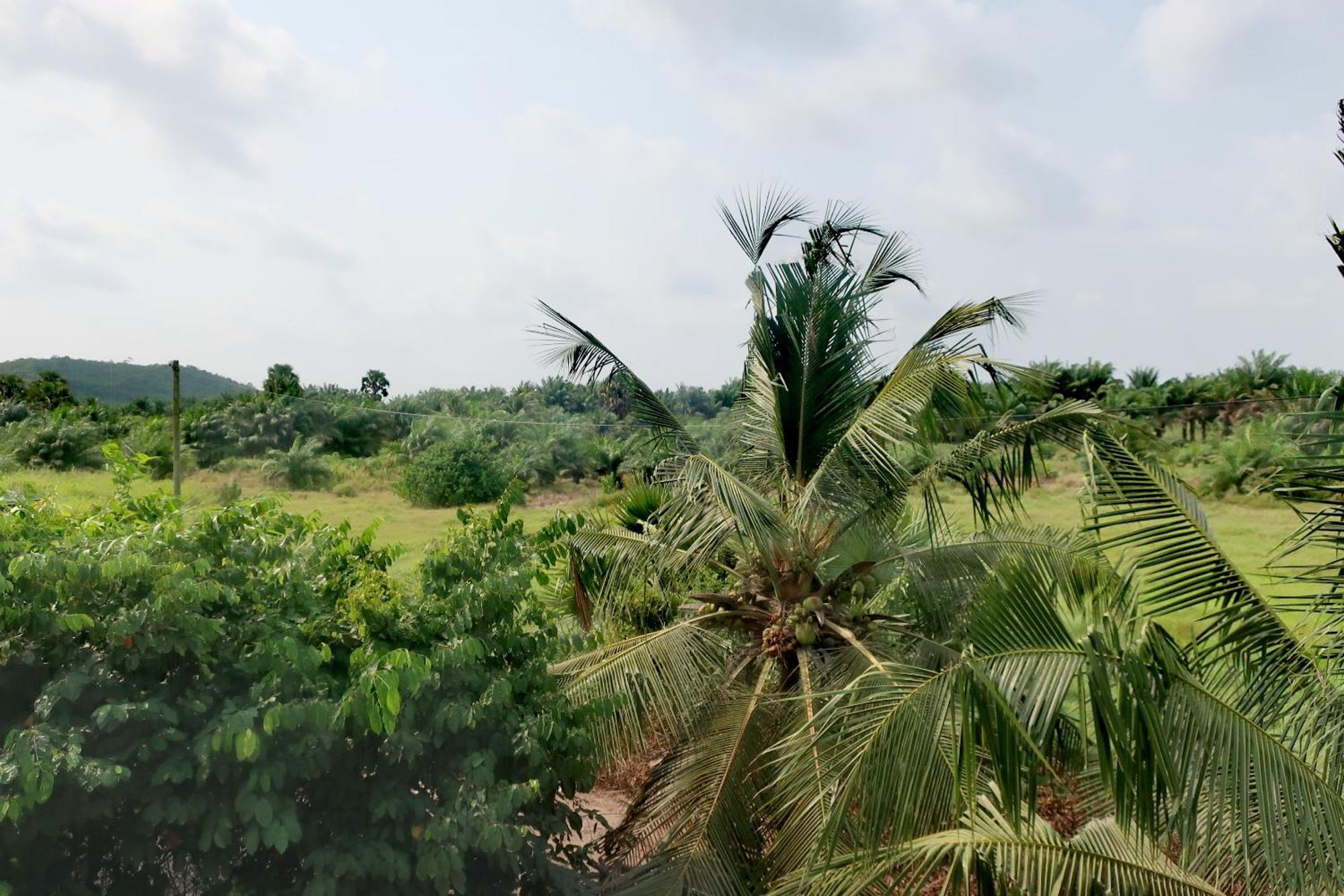 Afro Beach Eco Resort Butre ห้อง รูปภาพ