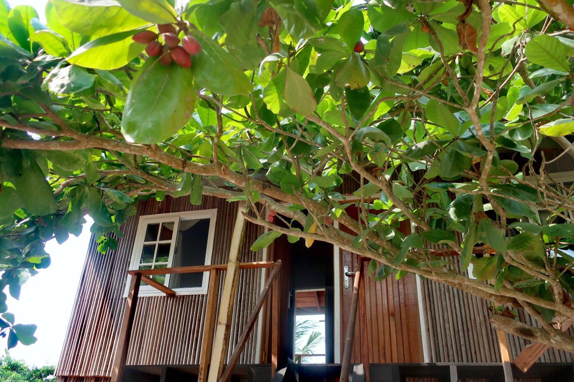 Afro Beach Eco Resort Butre ห้อง รูปภาพ