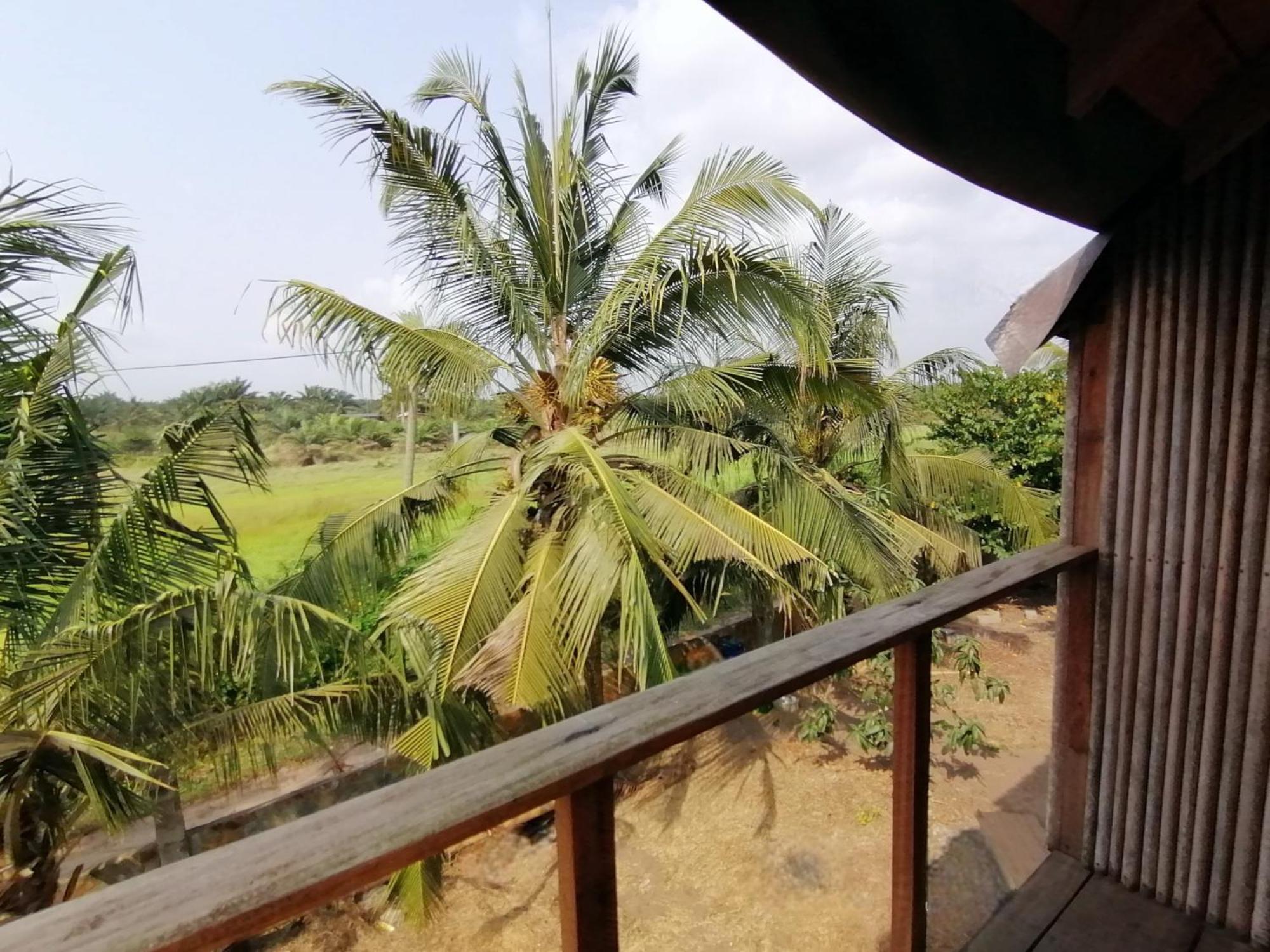 Afro Beach Eco Resort Butre ห้อง รูปภาพ